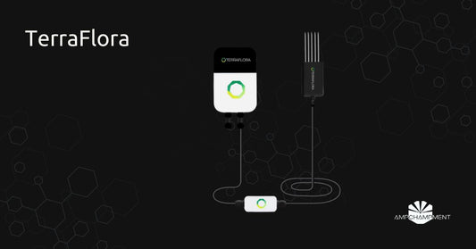 Turn Your Garden into a Crypto Miner with TerraFlora